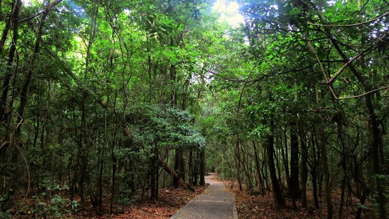 Namal uyana - නාමල් උයන